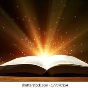 Meet your Posher, Dee